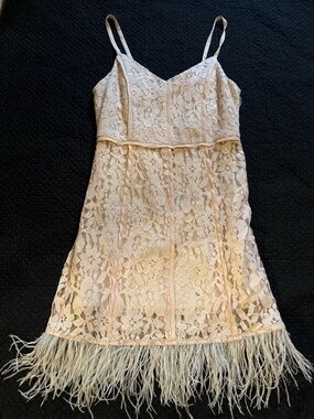 Gianni Bini Blush Lace Mini Dress with Feather Hem